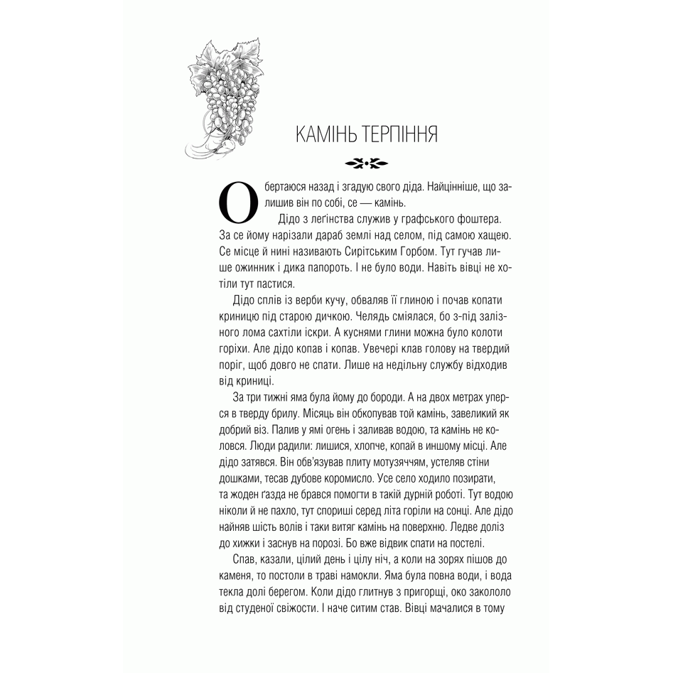 Книга Карби і скарби, Мирослав Дочинець | Bukio