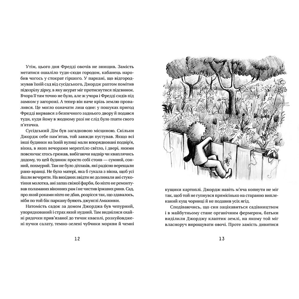 Книга Джордж і таємний ключ до Всесвіту, Стівен Гокінґ, ЛюсіГокінґ| Bukio