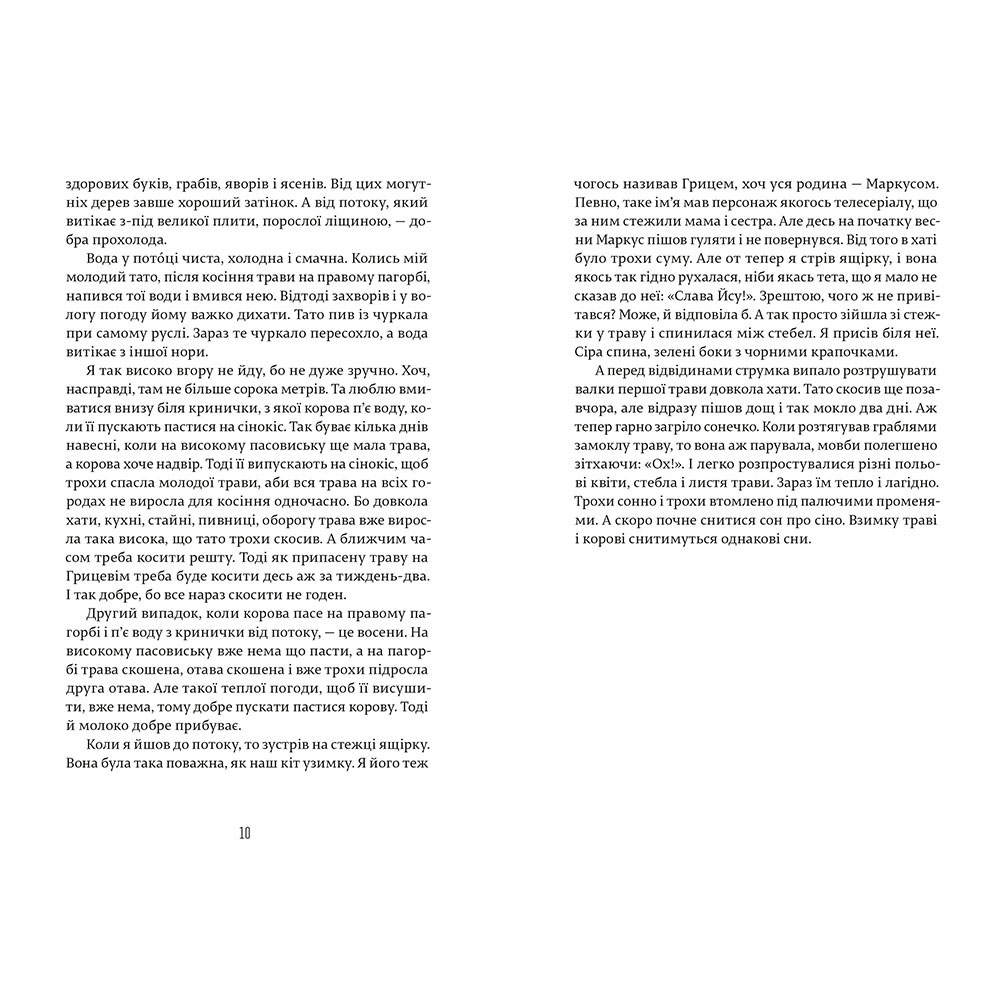 Книга Ще літо, але вже все зрозуміло, Василь Карп’юк, ВСЛ | Bukio