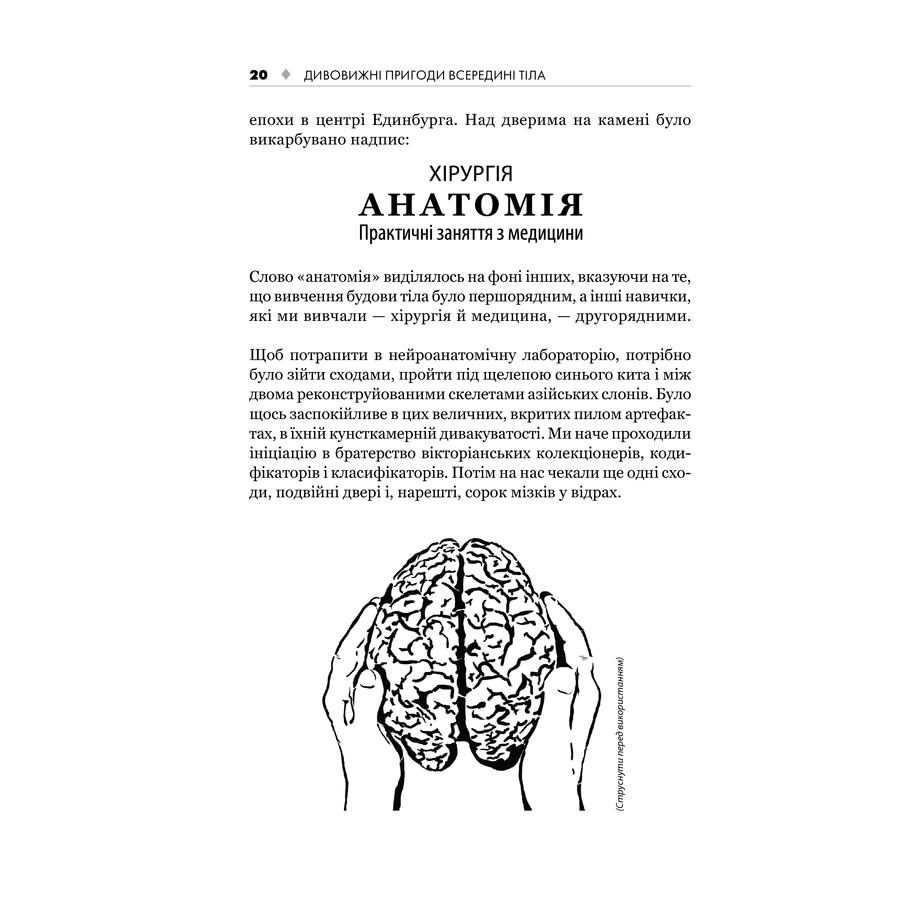 Книга Дивовижні пригоди всередині тіла. Велика подорож від голови до п’ят, Гевін Френсіс в інтернет-магазині книг Bukio